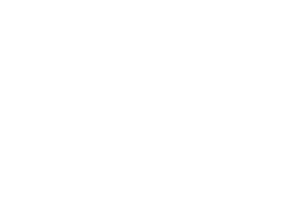 immoservice